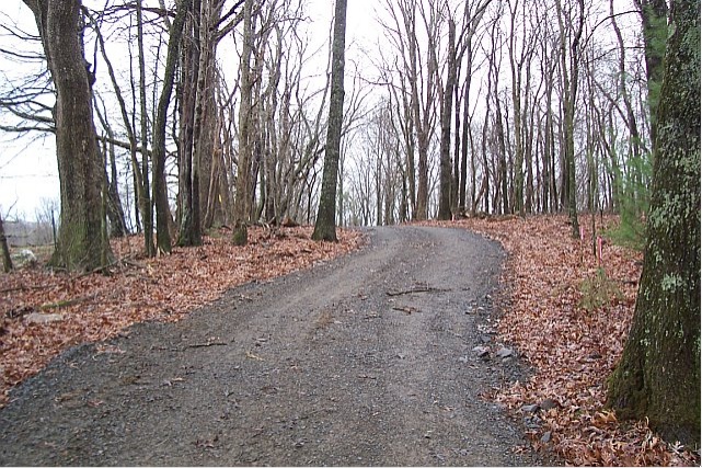 Road around curve and over hill.jpg