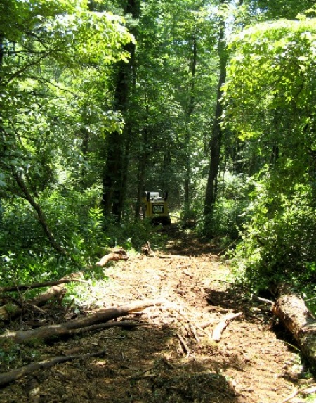 Path through woods.jpg