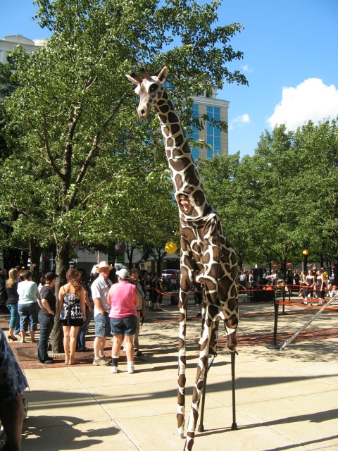 Giraffe.jpg